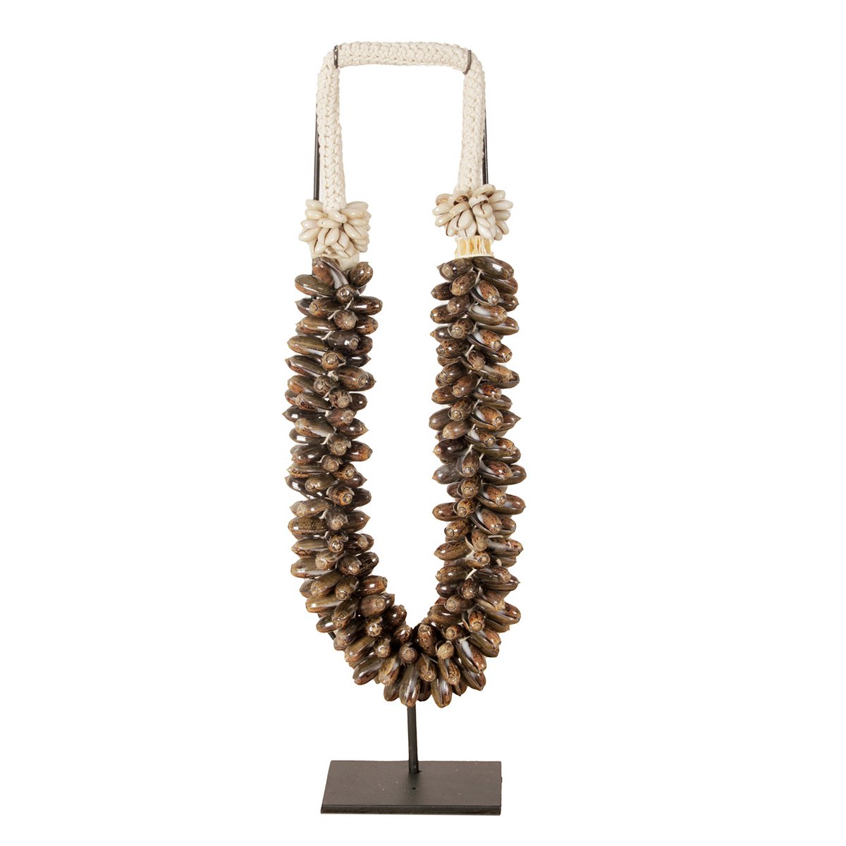 Collier Coquillage J62 Sur Support