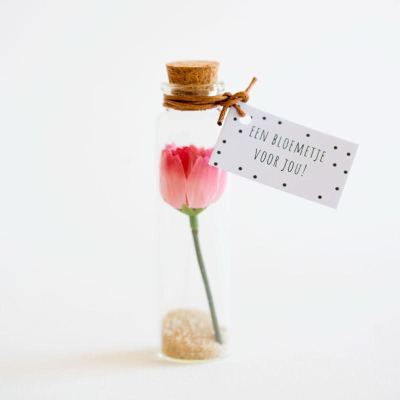 ¡Flor para ti!