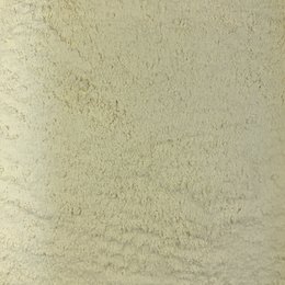 Polvere di aglio biologico sfuso