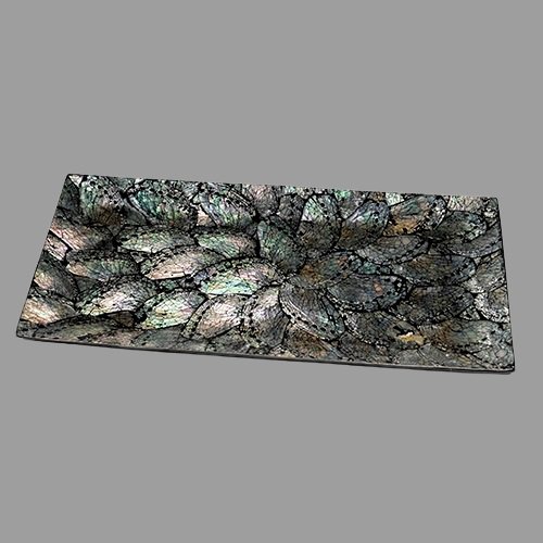 Tray abalone large