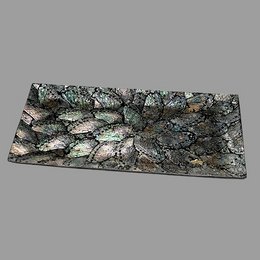 Tray abalone large