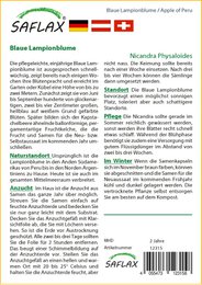 Blå lanterneblomst