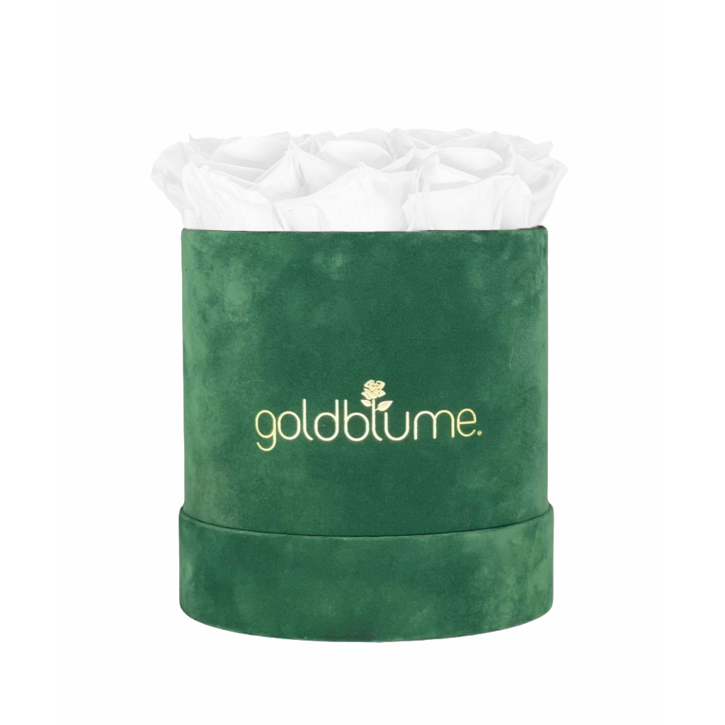 Velvet Green Collection
