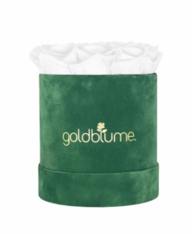 Velvet Green Collection