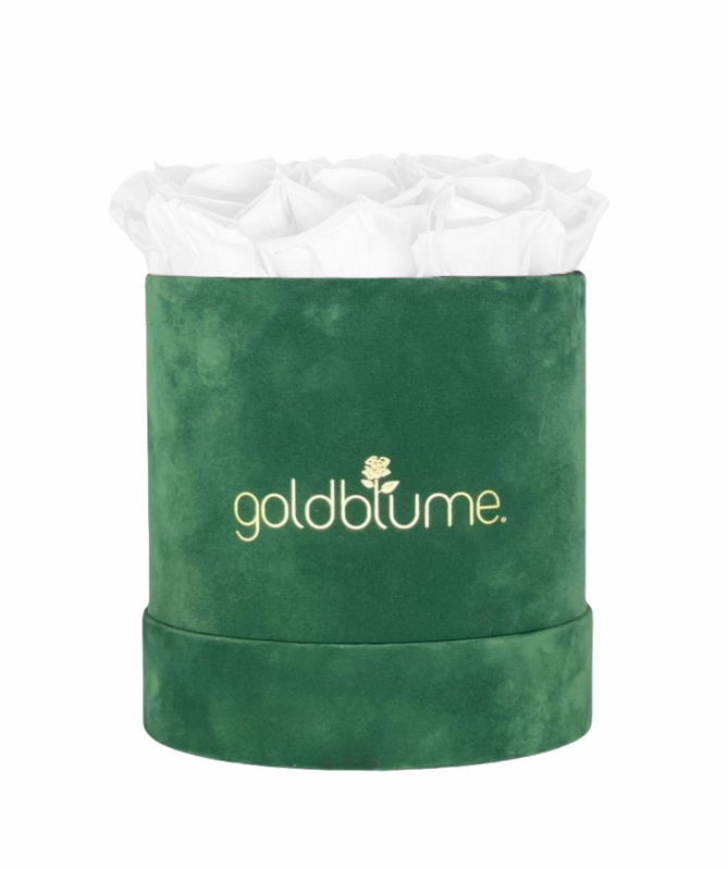 Velvet Green Collection