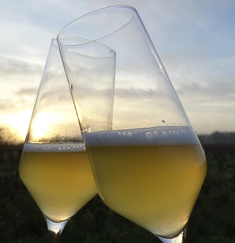 GUDDOMMELIG Kombucha