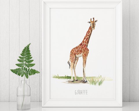 Giraffe Aquarell Kunstdruck
