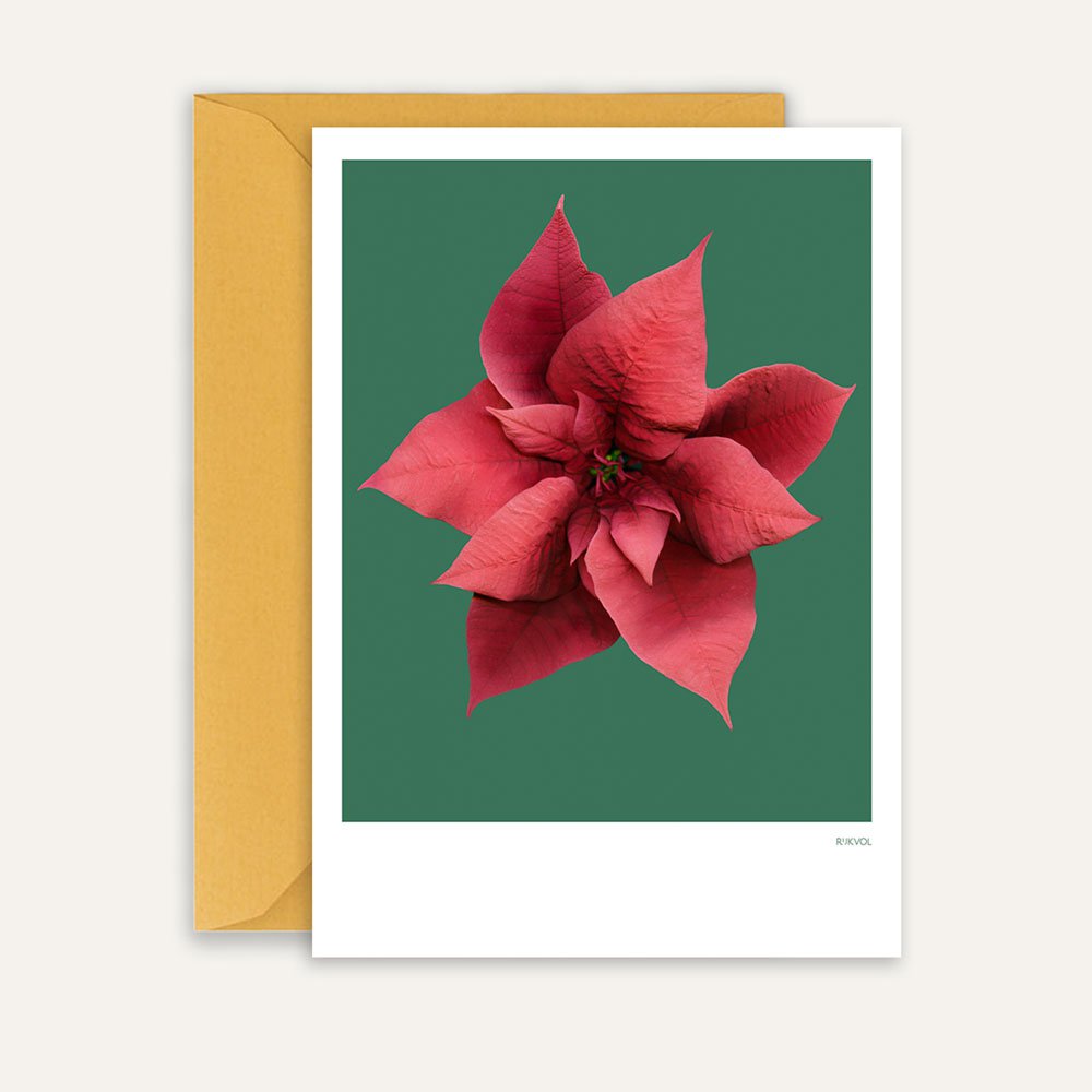 Winter Crush - ChristmasStar 05, greeting card + envelope