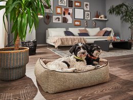 ORTHO Hundebett - SCALA