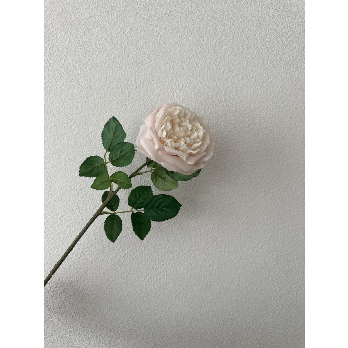 QMF Touch Rose 65cm Lys pink 2STK