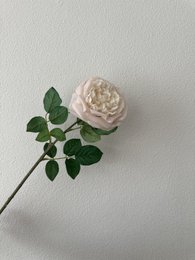 QMF Touch Rose 65cm Rose clair 2PCS