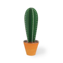 Cereus peruvianus postkort