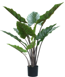 Taro H110cm