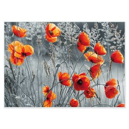 The image shows a field of vibrant red poppies against a gray background. The poppies have a striking, bold color that stands out against the muted tones of the surroundings. The flowers appear to be in full bloom, with their delicate petals open and visible. This image would be well-suited for an e-commerce product search related to home decor, floral arrangements, or nature-inspired designs.