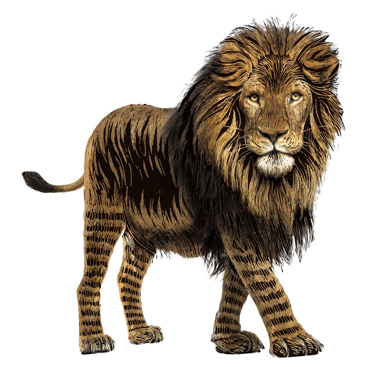 Scratch Stickers - Safaridieren