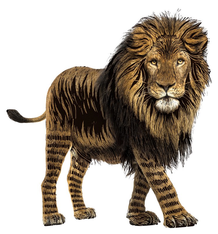 Scratch Stickers - Safaridieren
