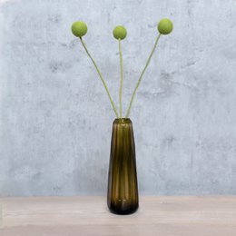 Craspedia XL green