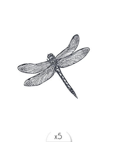 Temporary tattoo: dragonfly