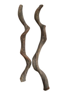Decoration liana 220cm - Liantes Medium