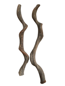 Decoration liana 220cm - Liantes Medium