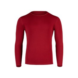 Men's Merino 250 Long Sleeve Crew Royal Cherry