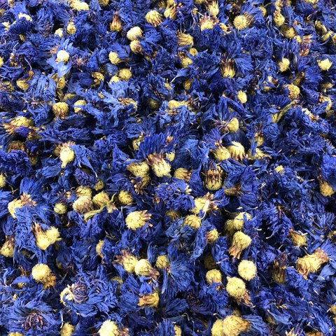 Korenbloem Biologische Bulkbloemen