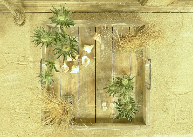 tray old dutch marianne 48