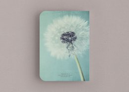Notatnik DIN A6 Dandelion