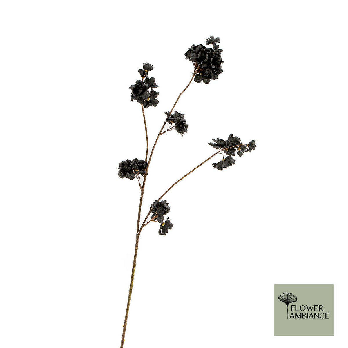 Prunus malaga spray black 84cm