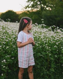 Fermagli per capelli in fiore di lampone