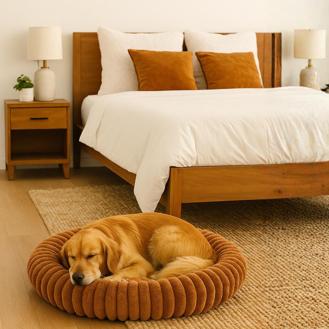 Round Bed for Cats, Dogs, and Rabbits | Soft Plush & Thickened Cradle-Style Padded Winter Bed | Cozy, Warm & Fluffy Teddy Bear Design Bed | Available in 3 Sizes | Ideal for Small and Medium Pets