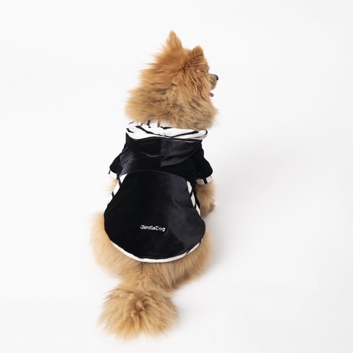 Hooded sweatshirt Pepa stripes