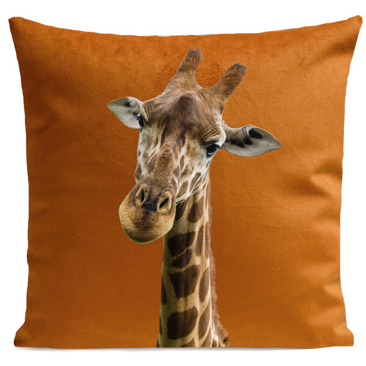 Animal Cushion, Giraffe
