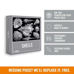 Shells Jigsaw Puzzle (1000 pieces)