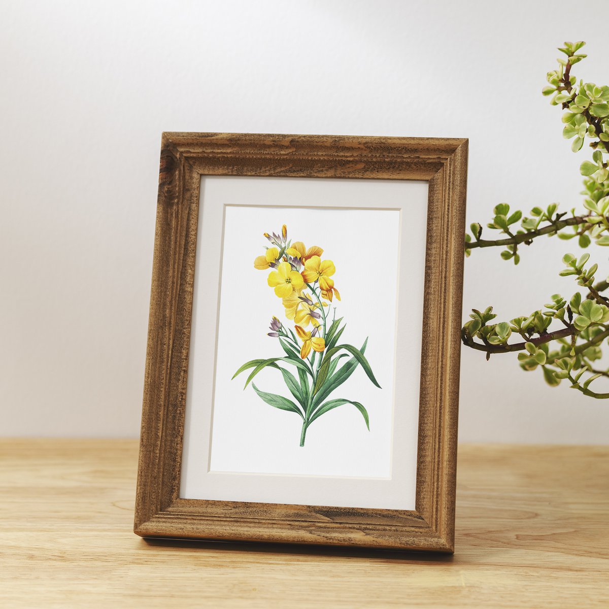 Botanische kunst print mix x16 | Vintage bloem illustratie | Kunst aan de muur