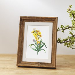 Mix di stampe d'arte botanica x16 | Illustrazione di fiori d'epoca | Decorazione artistica da parete