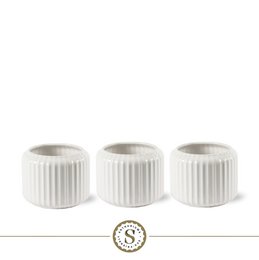 Bologna White Champion