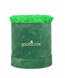 Velvet Green Collection