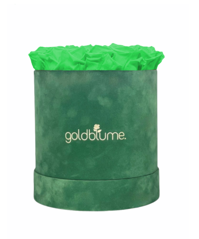 Velvet Green Collection