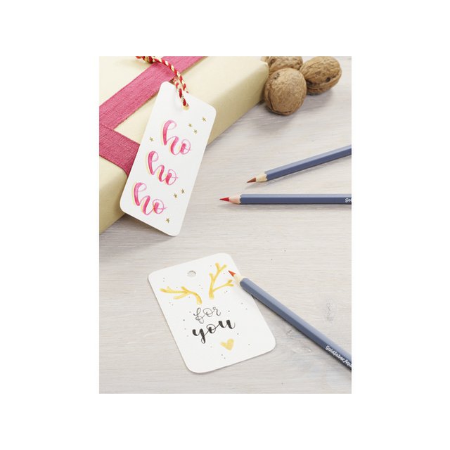 Aquarelpotlood FC Goldfaber etui a 36st. Creative Studio