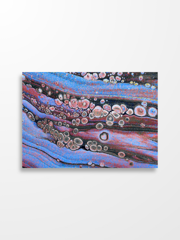 Caprio — GIOMY Art Postcard