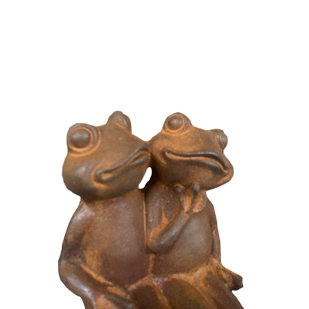 Cast iron frogs