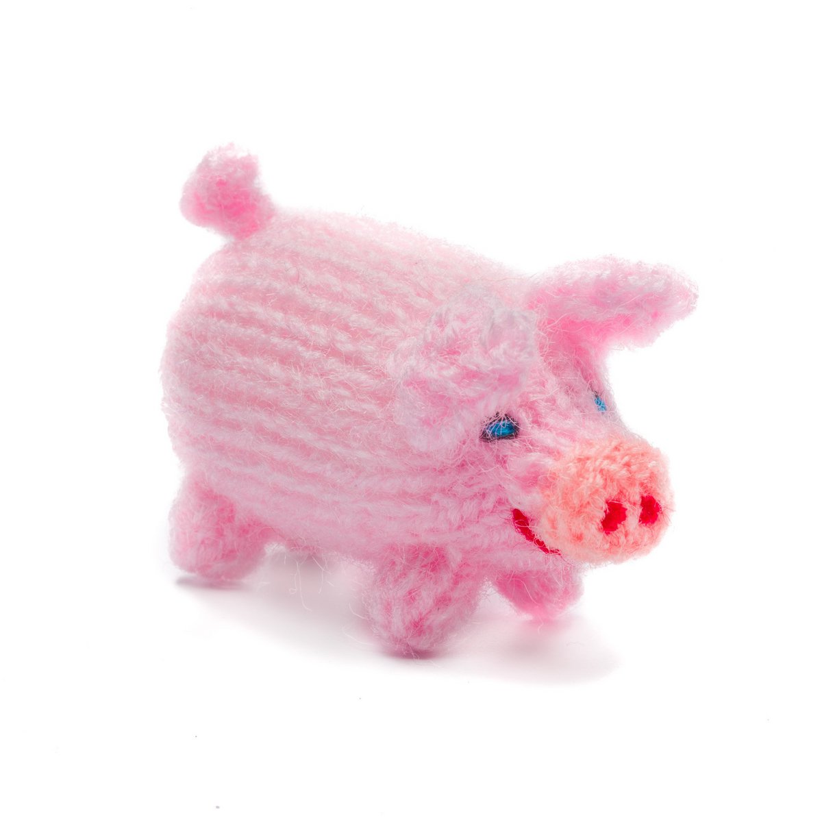 Cerdo de punto, pequeño