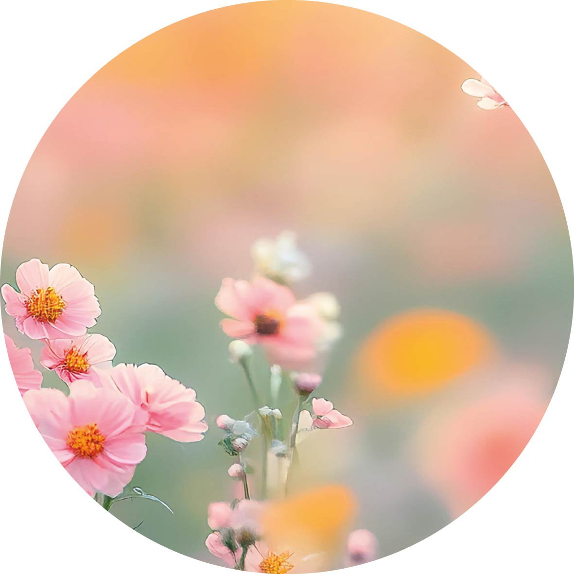 Weiche Blumen