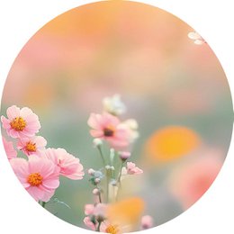 Bløde blomster
