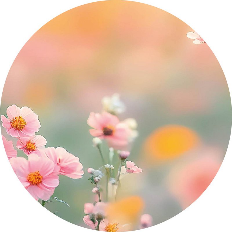 Bløde blomster