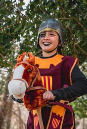 PLUSH HORSE SOFTIK BROWN - ST344