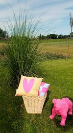 Outdoor Kussen dubbelzijdig geblokt/hart 40x40 (geel/roze)