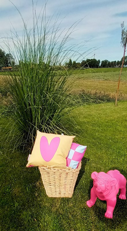 Outdoor Kussen dubbelzijdig geblokt/hart 40x40 (geel/roze)