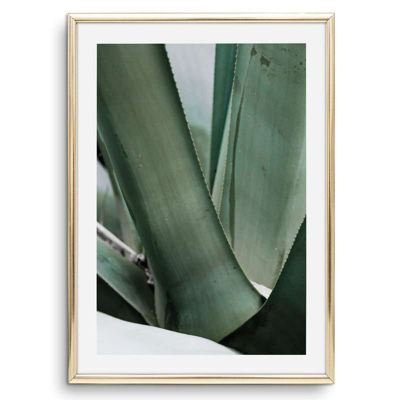 Poster: Agave